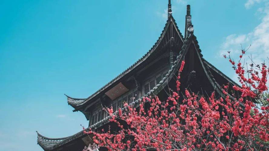 陕西省诗词学会官网