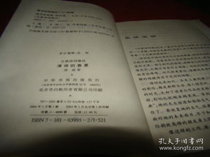 人物描写的诗词