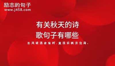 所有写濮阳的歌