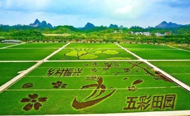 农业与文创的融合乡村振兴的成功案例分析