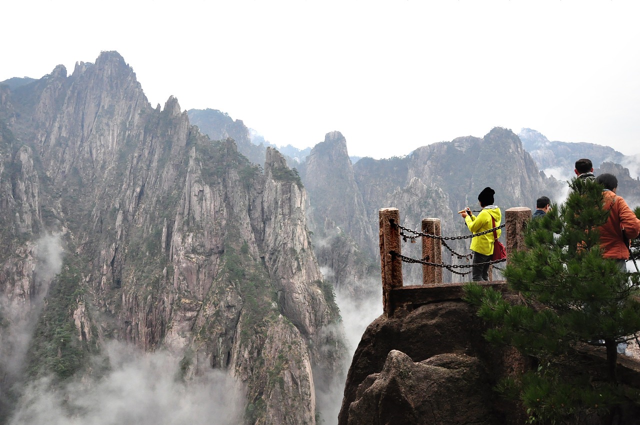 深度解析北京植物园，票价全览，游玩攻略及不可错过的美景
