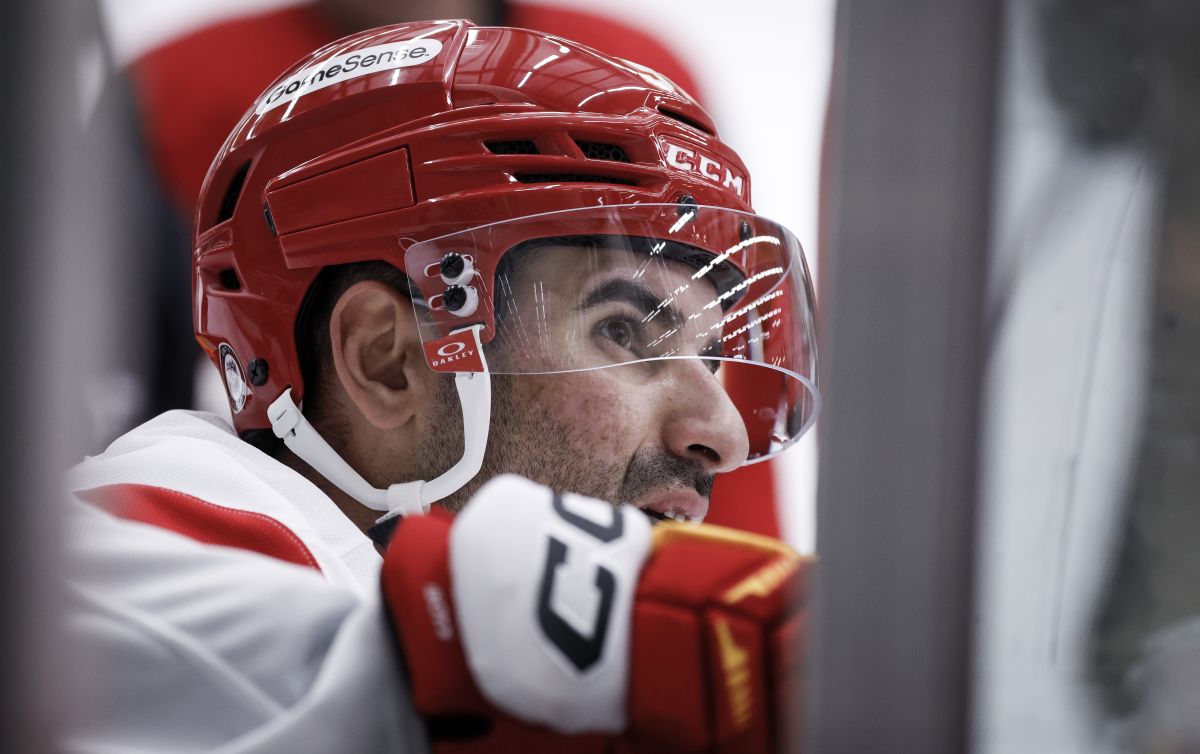 NHL球员纳齐姆·卡德里在新书中讲述了他迄今为止的故事