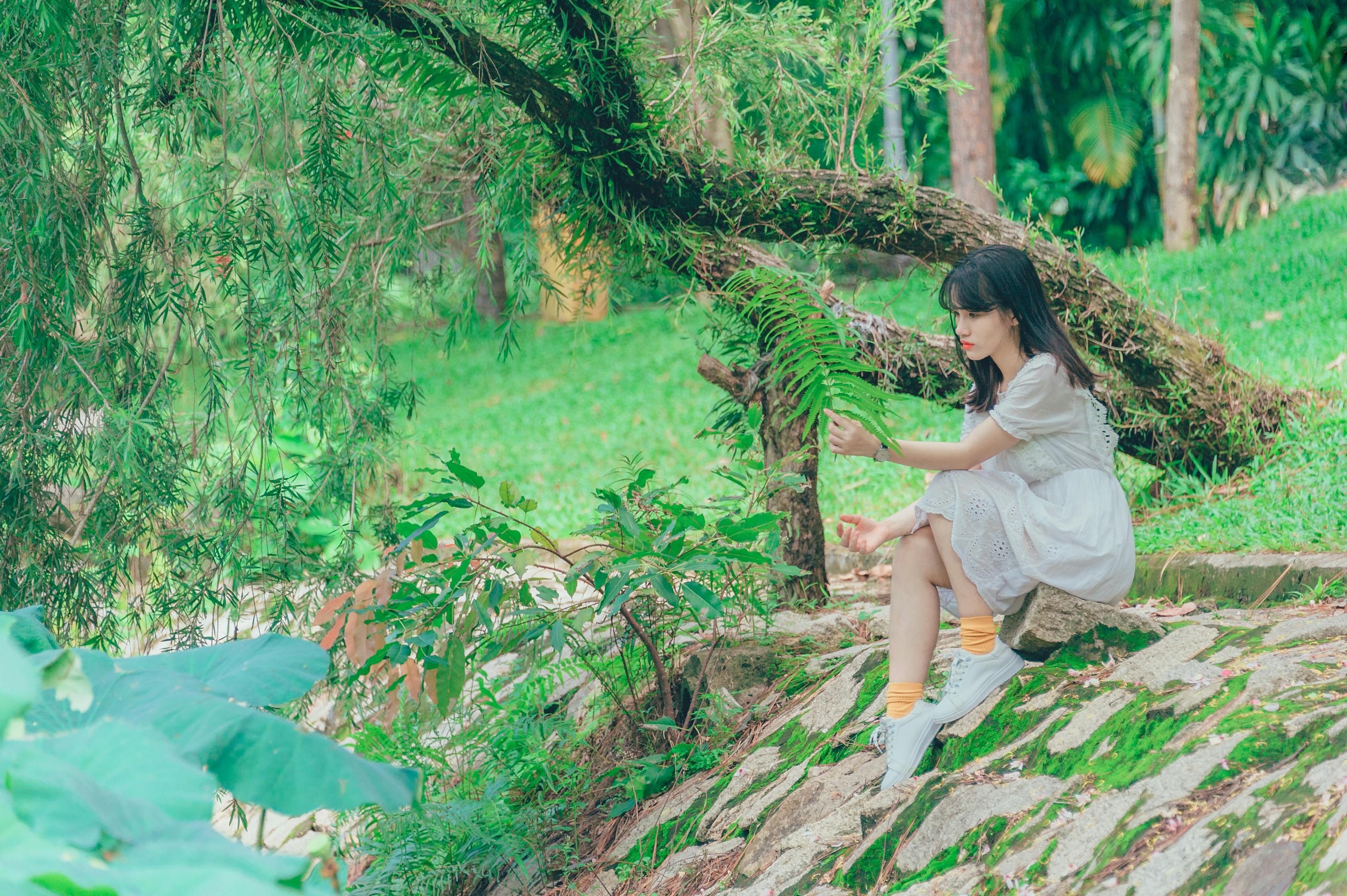 探索热带雨林的神秘魅力——详述西双版纳自由行预算指南