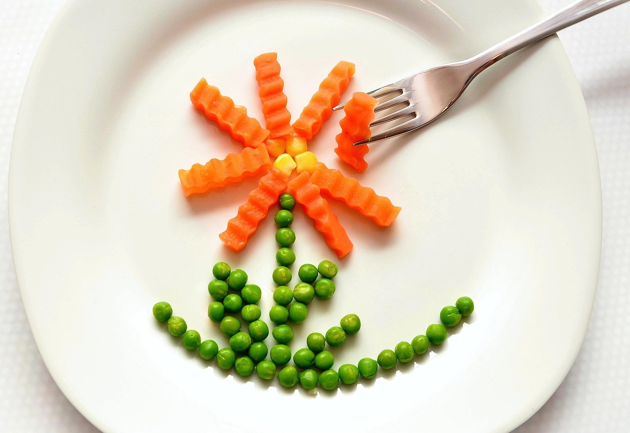 营养食谱大全及做法窍门，健康饮食的艺术与科学