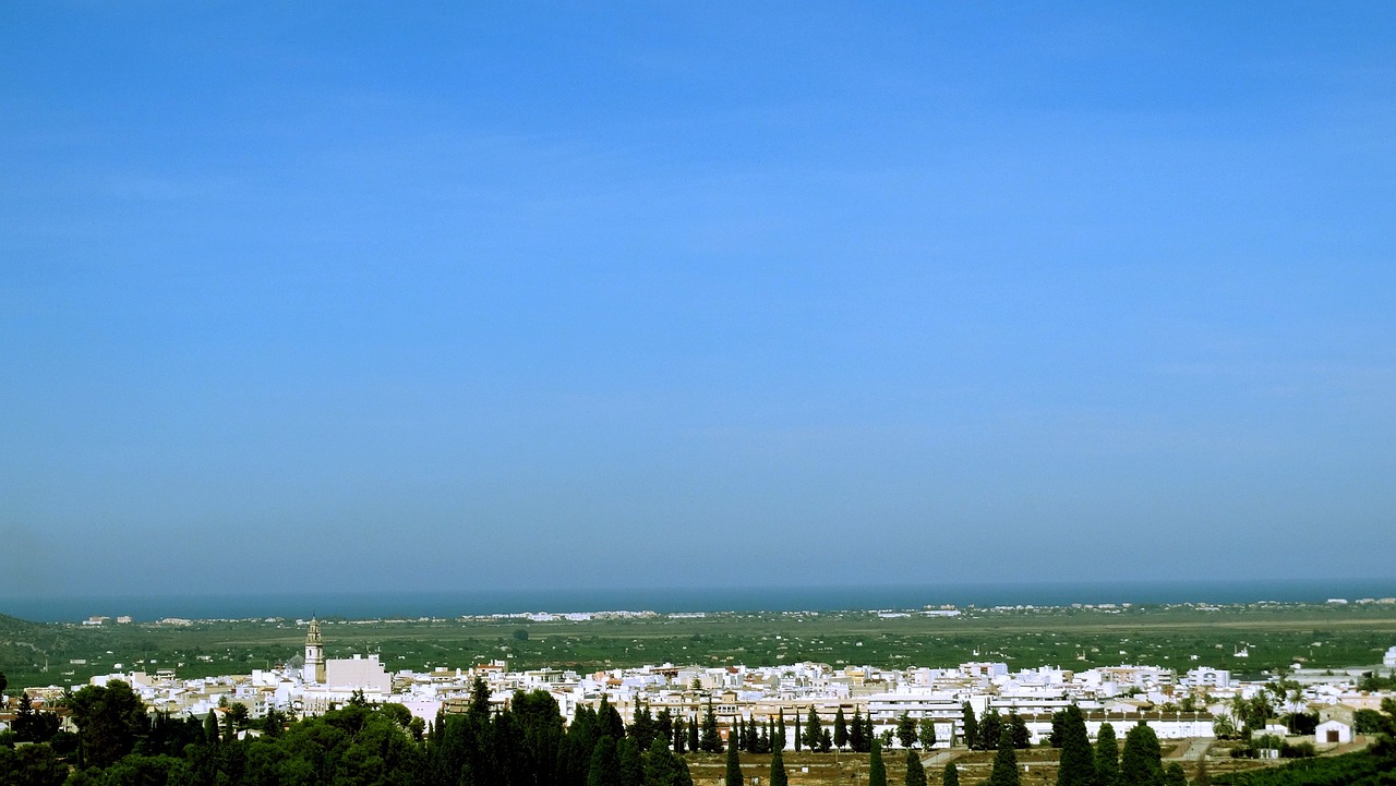 尿素期货行情，市场动态与投资指南