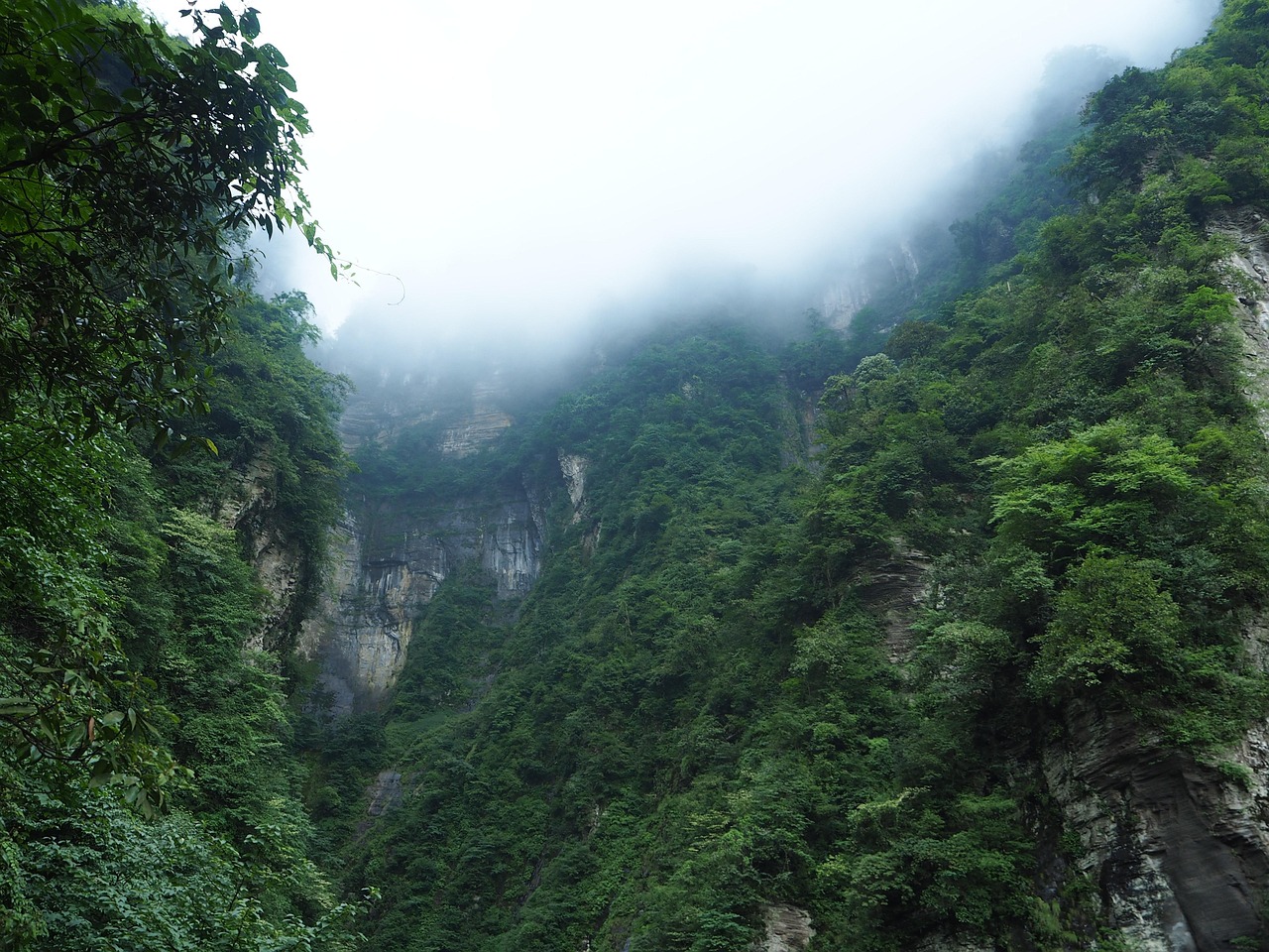 旅游知识普及，全球美景与文化一网打尽