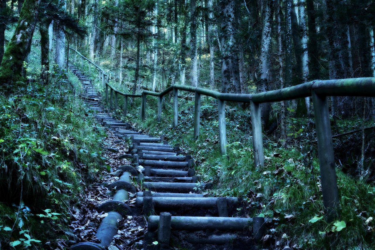 旅途中的学问，我的旅游选修课心得之旅